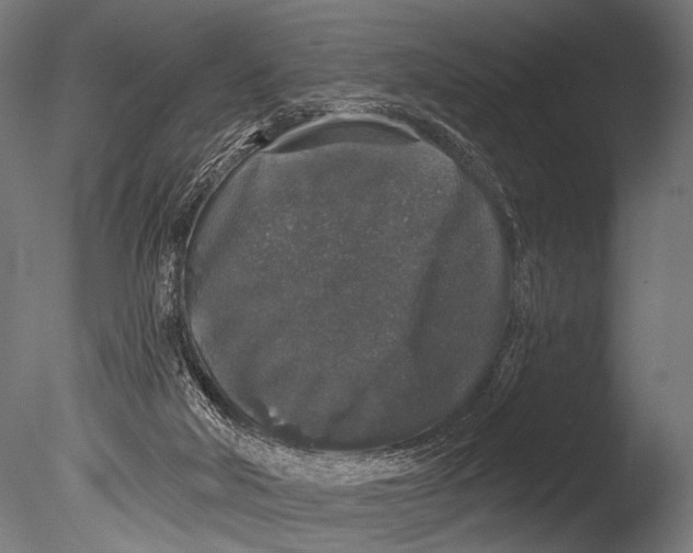 X0000085080018200703261310