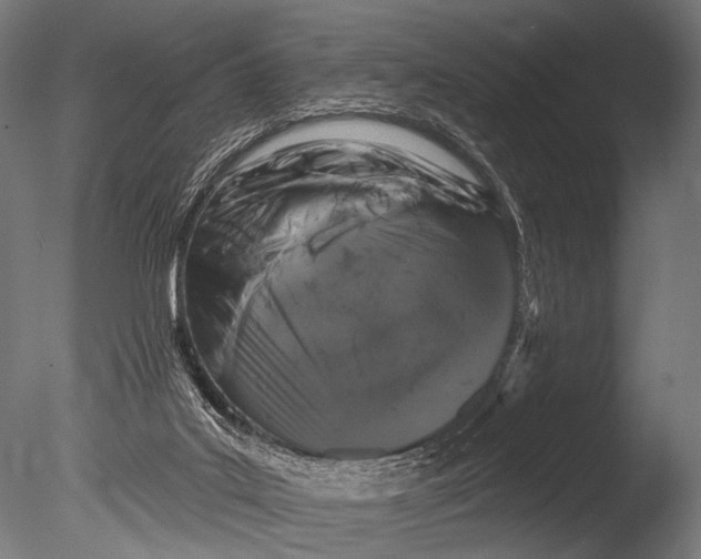 X0000085080019200703261310