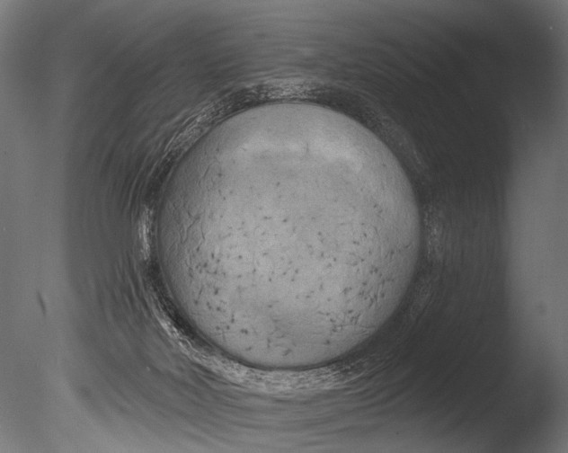 X0000085080026200703261310