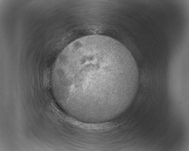 X0000085080030200703261310