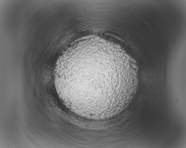 X0000085080032200703261310