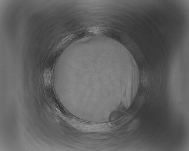 X0000085080036200703261310