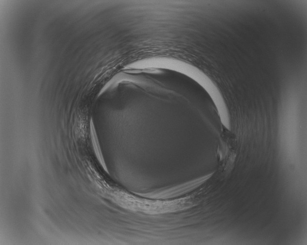 X0000085080039200703261310