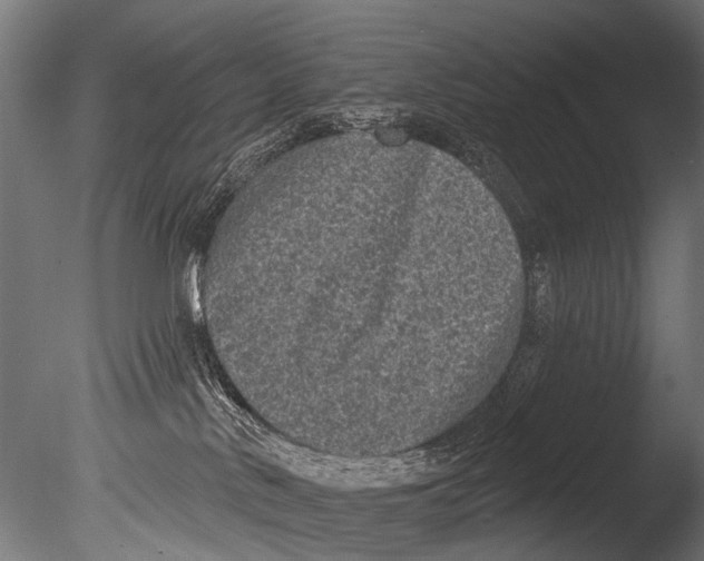 X0000085080042200703261310