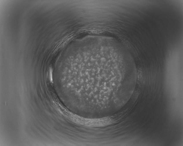 X0000085080046200703261310