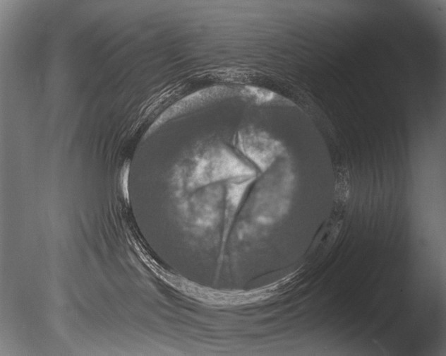 X0000085080047200703261310