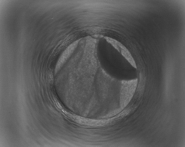 X0000085080048200703261310