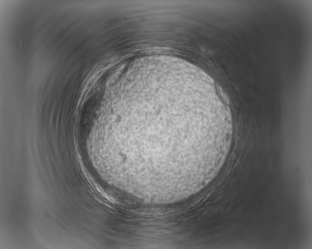 X0000085080049200703261309