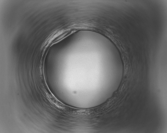 X0000085080050200703261309