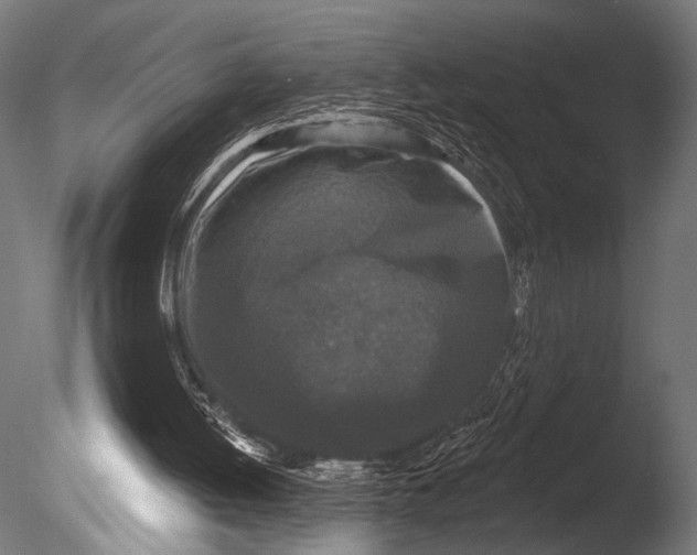 X0000085080052200703261309