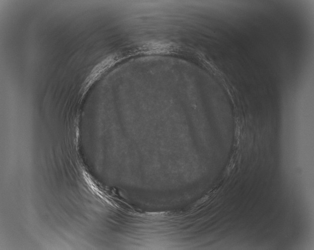 X0000085080059200703261309