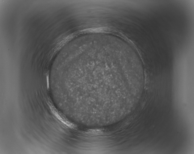 X0000085080061200703261309