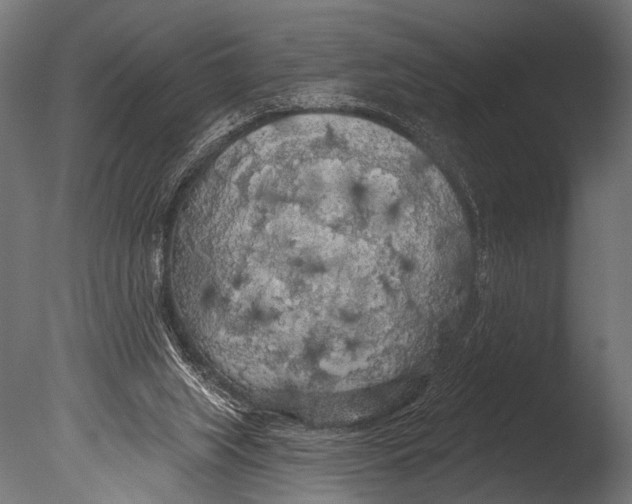 X0000085080063200703261309