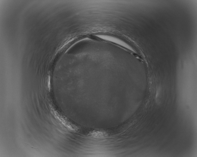 X0000085080067200703261309