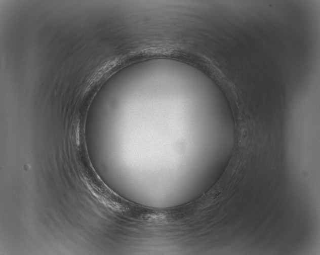 X0000085080068200703261309