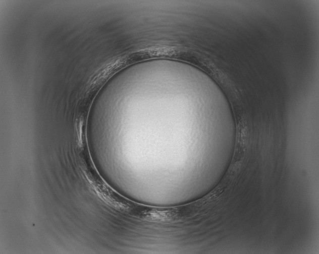 X0000085080070200703261309