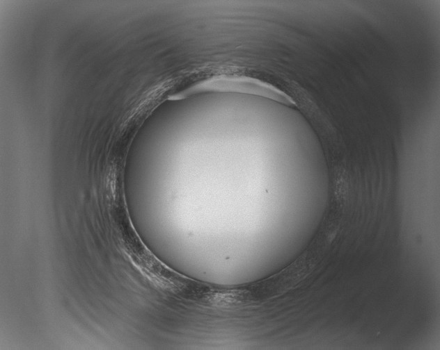 X0000085080072200703261309