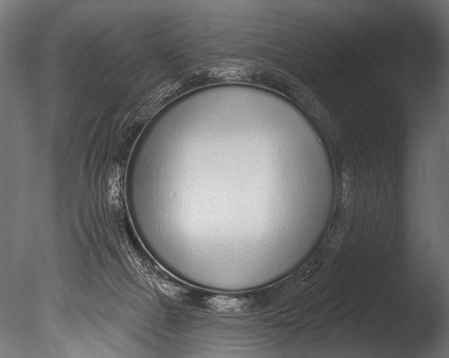 X0000085080073200703261309