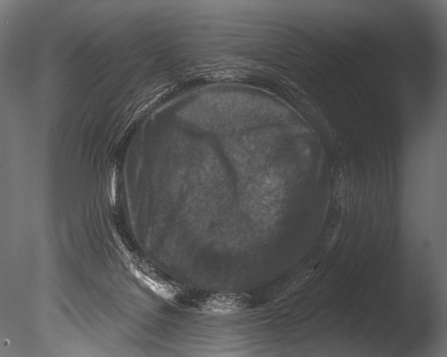 X0000085080076200703261309