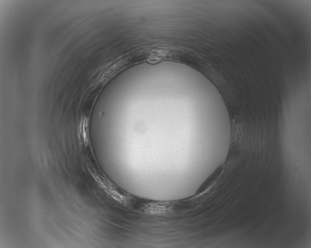 X0000085080094200703261310