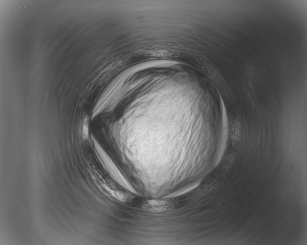 X0000085080095200703261310