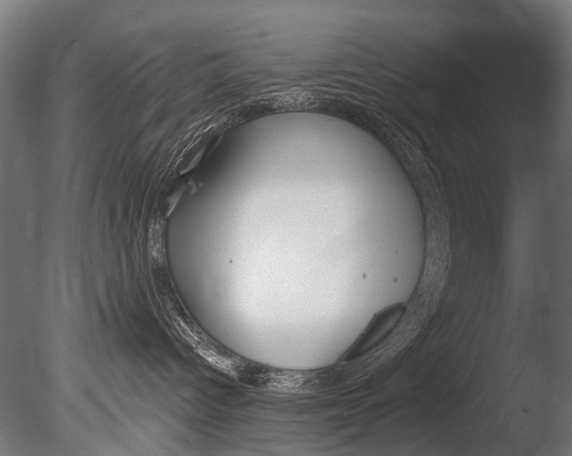 X0000085080096200703261310