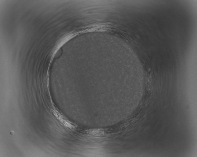 X0000085080100200703261309