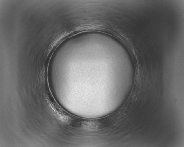 X0000085080107200703261309