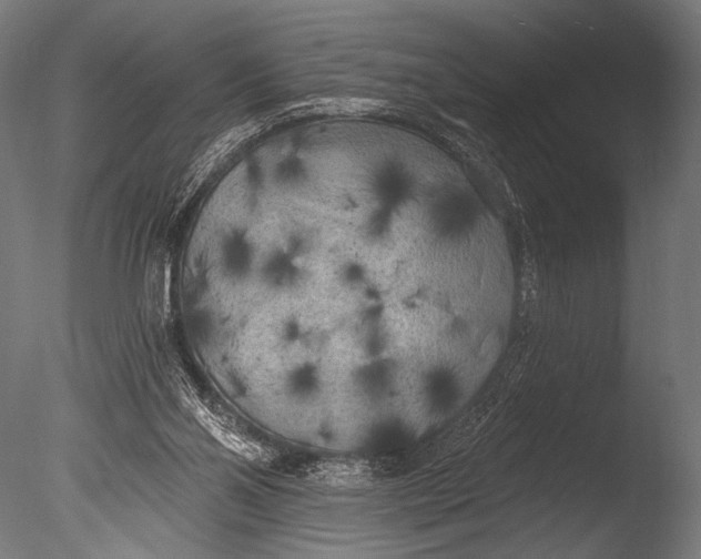 X0000085080110200703261309