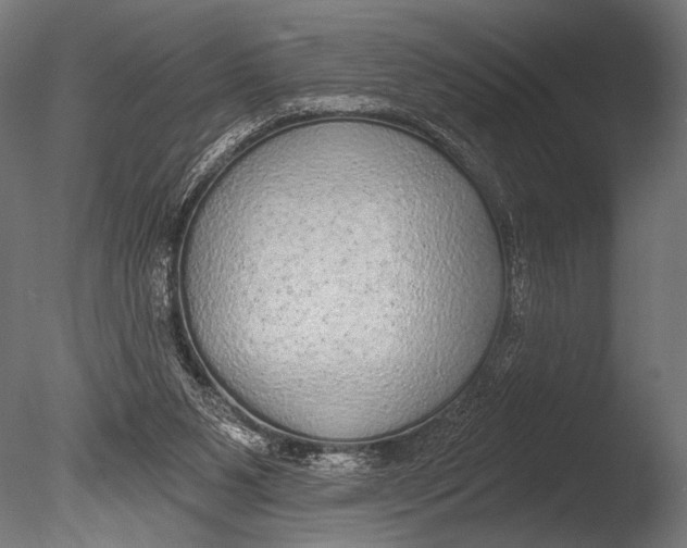 X0000085080111200703261309