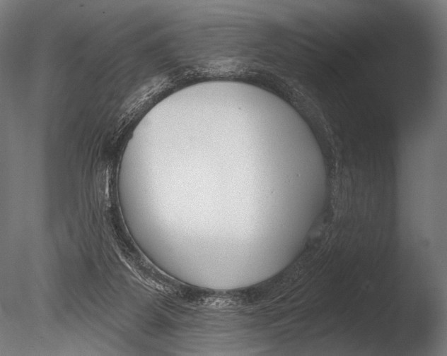 X0000085080115200703261308