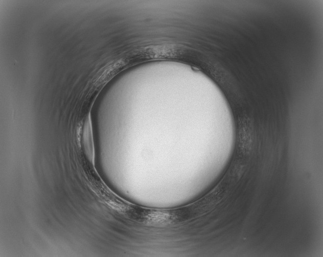 X0000085080123200703261308