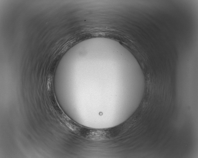 X0000085080125200703261308