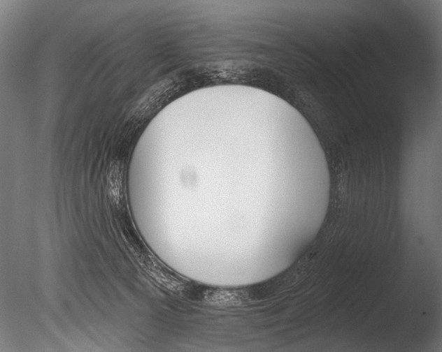 X0000085080129200703261308