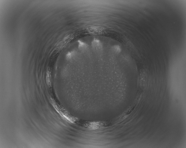 X0000085080130200703261308