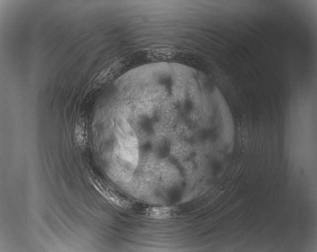 X0000085080134200703261308