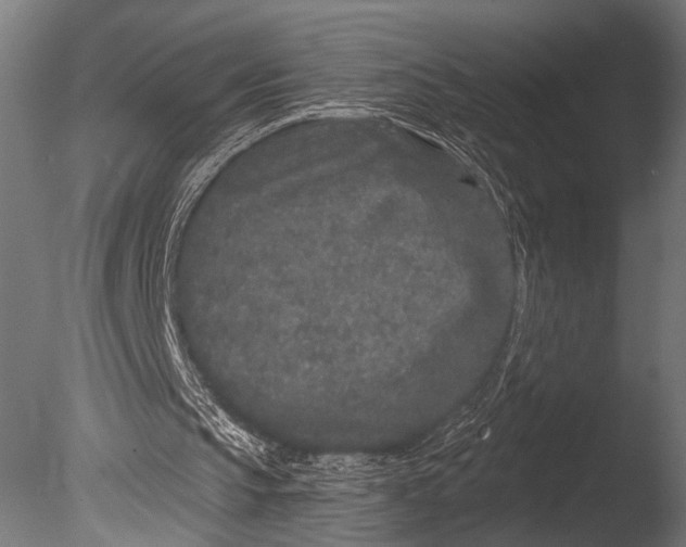 X0000085080145200703261307