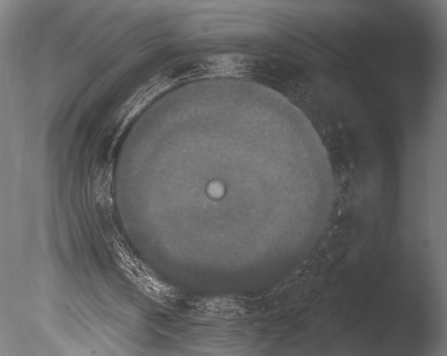 X0000085080146200703261307