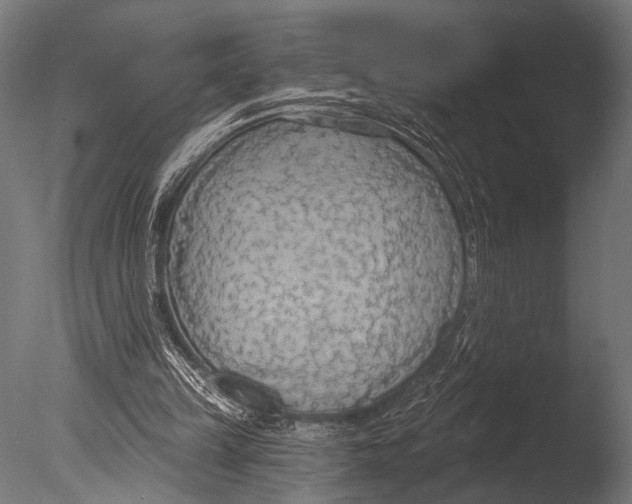 X0000085080149200703261307