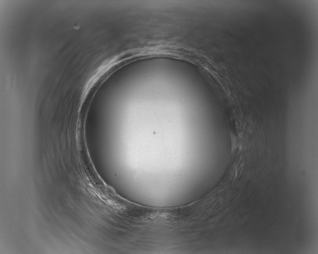 X0000085080152200703261307