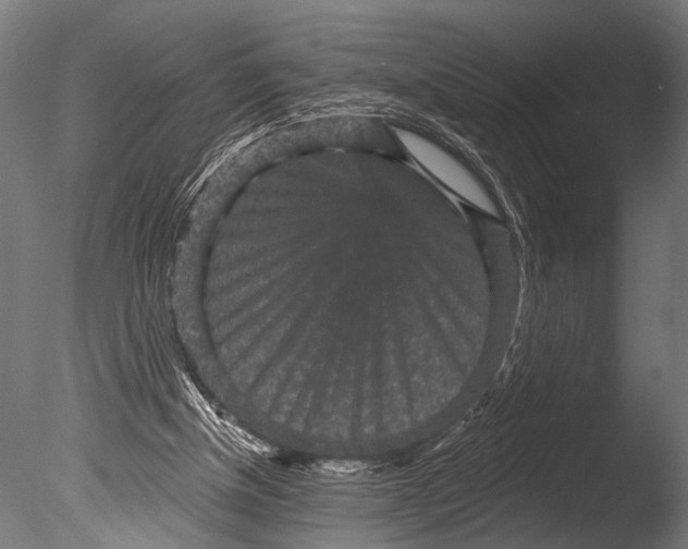 X0000085080154200703261307