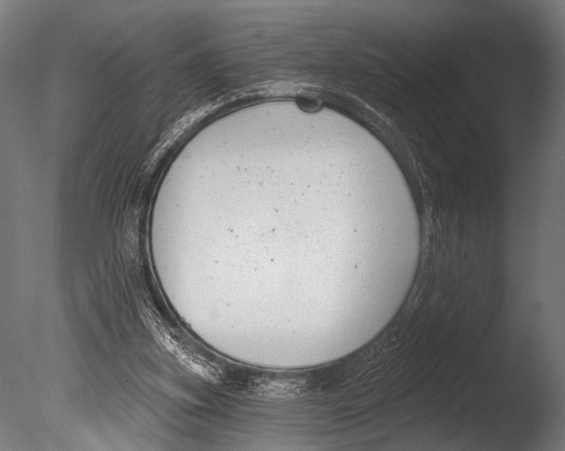 X0000085080155200703261307