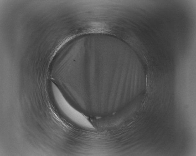 X0000085080156200703261307