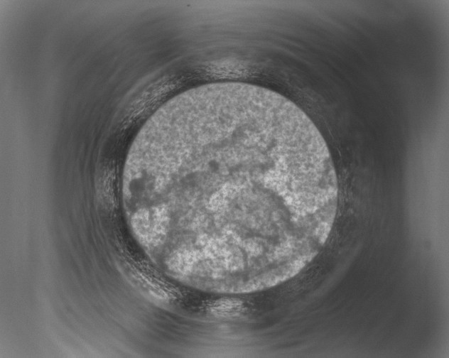 X0000085080162200703261307