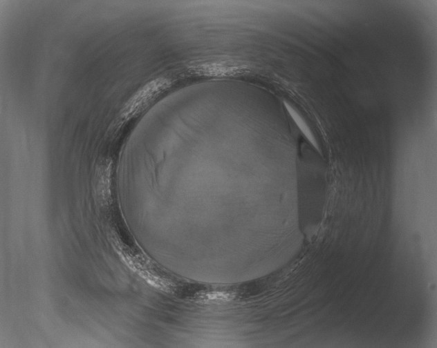 X0000085080163200703261307