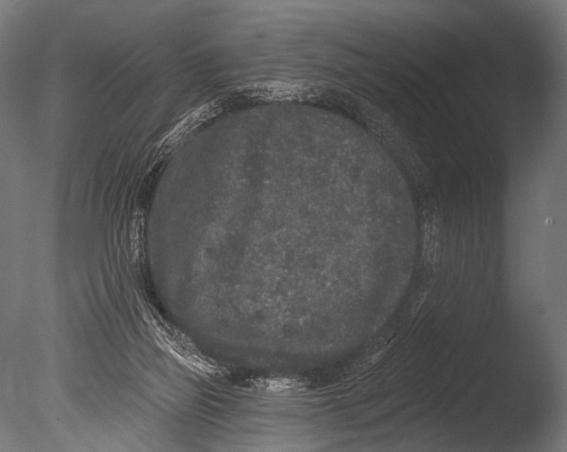 X0000085080165200703261307