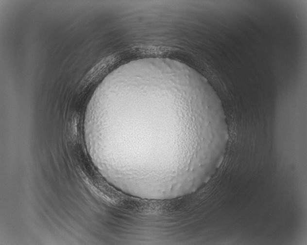 X0000085080166200703261308