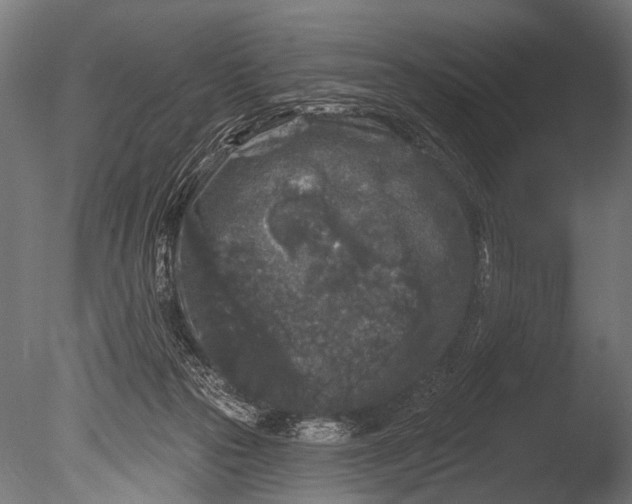 X0000085080169200703261308