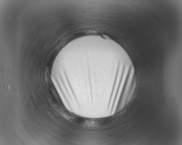 X0000085080174200703261308