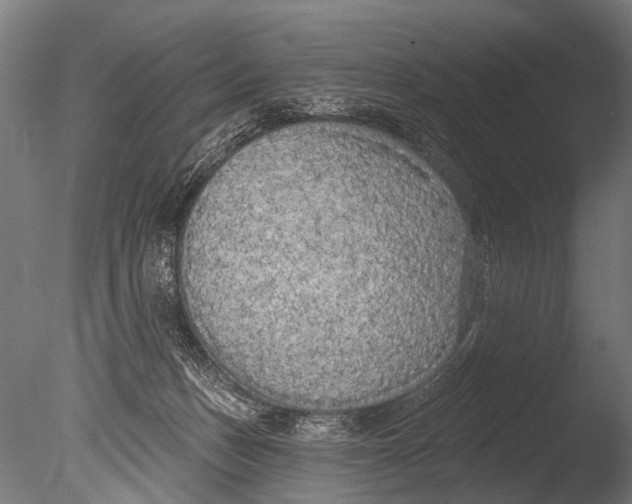 X0000085080175200703261308